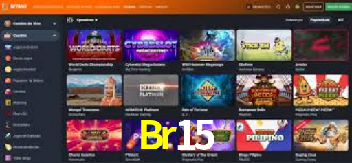 Interface Premium Br15